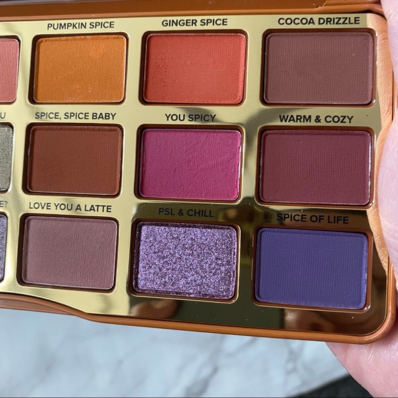 too faced pumpkin spice eyeshadow - Picture 2 of 5